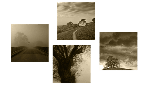 BILDER-SET GEHEIMNISVOLLE NATUR IN SEPIA - BILDERSETS - BILDER