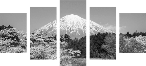 5-PIECE CANVAS PRINT MOUNT FUJI IN BLACK AND WHITE - BLACK AND WHITE PICTURES - PICTURES