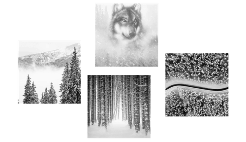 CANVAS PRINT SET WOLF IN A MYSTERIOUS FOREST IN BLACK AND WHITE - SET OF PICTURES - PICTURES