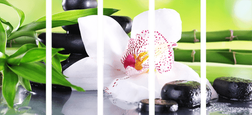 5-TEILIGES WANDBILD JAPANISCHE ORCHIDEE - BILDER MIT FENG SHUI-MOTIVEN - BILDER