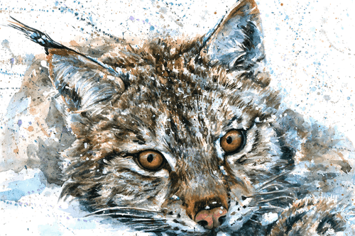 WANDBILD LUCHS IN AQUARELL - BILDER TIERE - BILDER