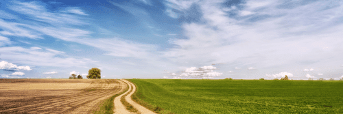 QUADRO BELLISSIMO PAESAGGIO - QUADRI DI NATURA E PAESAGGIO - QUADRI