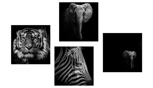 CANVAS PRINT SET ANIMALS IN BLACK AND WHITE STYLE - SET OF PICTURES - PICTURES