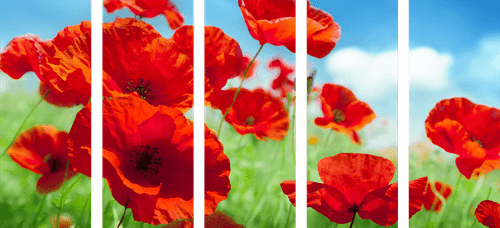 QUADRO IN 5 PARTI PAPAVERI NEL CAMPO - QUADRI DI FIORI - QUADRI