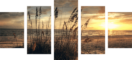 5-PIECE CANVAS PRINT SUNSET ON A BEACH - PICTURES OF NATURE AND LANDSCAPE - PICTURES