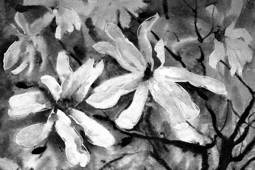 CANVAS PRINT BLOOMING WATERCOLOR TREE IN BLACK AND WHITE - BLACK AND WHITE PICTURES - PICTURES