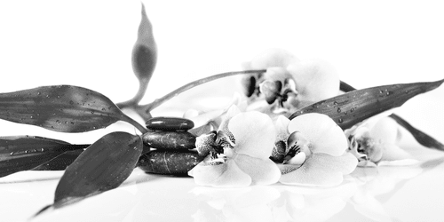 CANVAS PRINT STILL LIFE WITH ZEN STONES IN BLACK AND WHITE - BLACK AND WHITE PICTURES - PICTURES