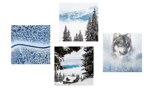 CANVAS PRINT SET WOLF IN A MYSTERIOUS FOREST - SET OF PICTURES - PICTURES