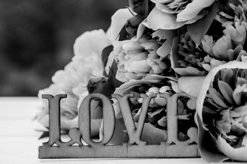 CANVAS PRINT PEONIES WITH THE INSCRIPTION LOVE IN BLACK AND WHITE - BLACK AND WHITE PICTURES - PICTURES