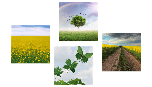 BILDER-SET SCHILLERNDE NATUR - BILDERSETS - BILDER