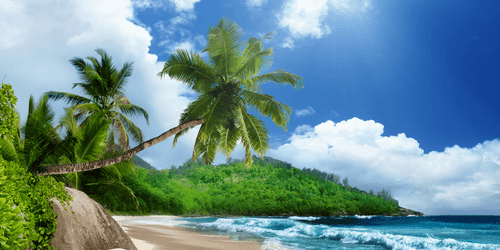 IMPRESSION SUR TOILE BELLE PLAGE SUR L'ÎLE DES SEYCHELLES - IMPRESSION SUR TOILE DE NATURE ET PAYSAGE - IMPRESSION SUR TOILE