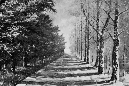 CANVAS PRINT AUTUMN AVENUE OF TREES IN BLACK AND WHITE - BLACK AND WHITE PICTURES - PICTURES