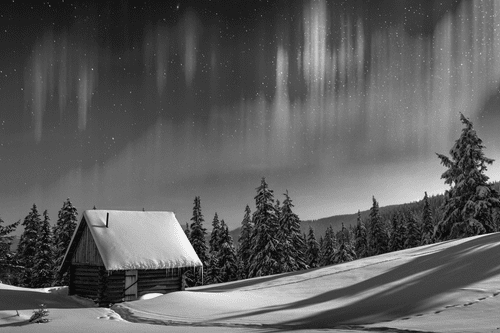 QUADRO PAESAGGIO INVERNALE DA FAVOLA IN BIANCO E NERO - QUADRI BIANCO E NERO - QUADRI