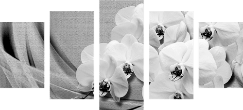 5-PIECE CANVAS PRINT ORCHID ON A CANVAS IN BLACK AND WHITE - BLACK AND WHITE PICTURES - PICTURES