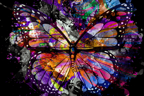 CANVAS PRINT UNUSUAL BUTTERFLY - POP ART PICTURES - PICTURES