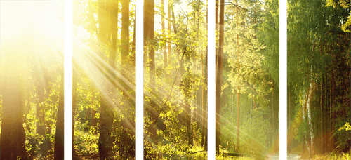 QUADRO IN 5 PARTI RAGGI LEGGERI NELLA FORESTA - QUADRI DI NATURA E PAESAGGIO - QUADRI