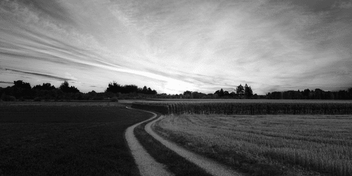 QUADRO DI UN PAESAGGIO AL TRAMONTO IN BIANCO E NERO - QUADRI BIANCO E NERO - QUADRI