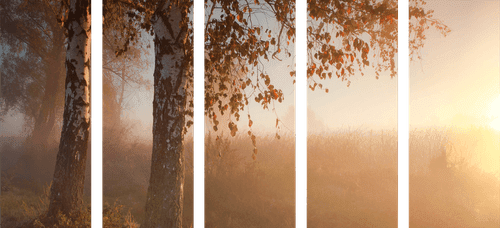 5-TEILIGES WANDBILD NEBLIGER HERBSTWALD - BILDER VON NATUR UND LANDSCHAFT - BILDER