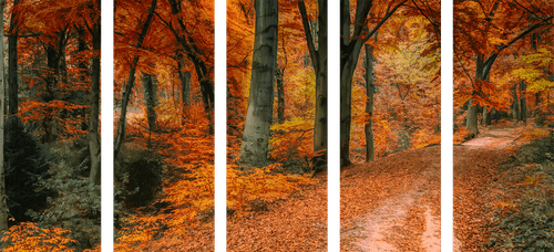 5-PIECE CANVAS PRINT FOREST IN AUTUMN - PICTURES OF NATURE AND LANDSCAPE - PICTURES