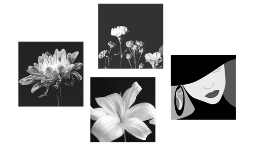 BILDER-SET ELEGANZ EINER FRAU UND BLUMEN IN SCHWARZ-WEISS - BILDERSETS - BILDER