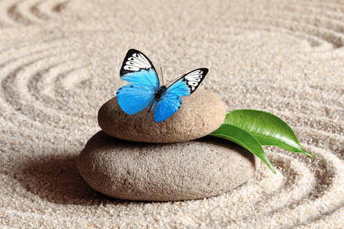 CANVAS PRINT BLUE BUTTERFLY IN A ZEN GARDEN - PICTURES FENG SHUI - PICTURES