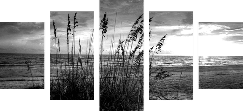 5-PIECE CANVAS PRINT SUNSET ON A BEACH IN BLACK AND WHITE - BLACK AND WHITE PICTURES - PICTURES