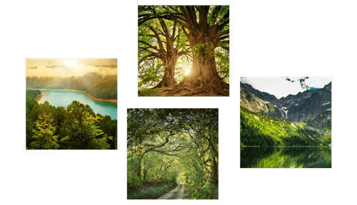 CANVAS PRINT SET BEAUTIFUL GREEN NATURE - SET OF PICTURES - PICTURES