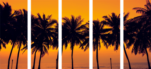 5-PIECE CANVAS PRINT SUNSET OVER PALM TREES - PICTURES OF NATURE AND LANDSCAPE - PICTURES