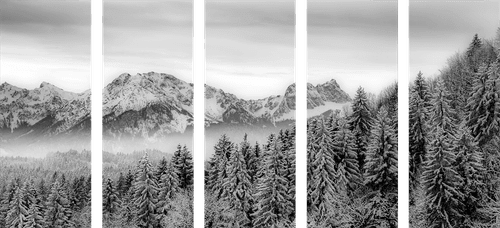 QUADRO IN 5 PARTI MONTAGNA GHIACCIATA IN BIANCO E NERO - QUADRI BIANCO E NERO - QUADRI