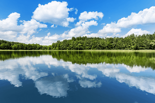 IMPRESSION SUR TOILE NATURE EN ÉTÉ - IMPRESSION SUR TOILE DE NATURE ET PAYSAGE - IMPRESSION SUR TOILE