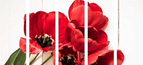 5-RÉSZES KÉP PIROS TULIPÁN VIRÁG - VIRÁGMINTÁS KÉPEK - KÉPEK