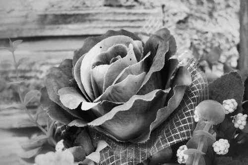 CANVAS PRINT VINTAGE ROSE IN BLACK AND WHITE - BLACK AND WHITE PICTURES - PICTURES