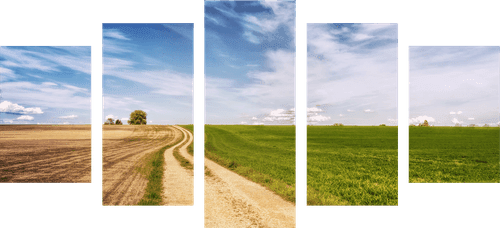 TABLEAU EN 5 PARTIES – PAYSAGE ENCHANTEUR - TABLEAUX DE LA NATURE ET DES PAYSAGES - TABLEAUX