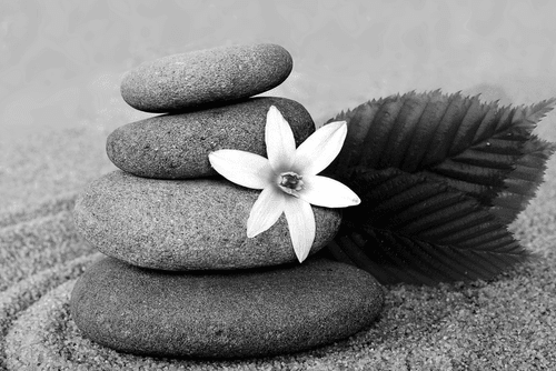 CANVAS PRINT FLOWER AND STONES IN THE SAND IN BLACK AND WHITE - BLACK AND WHITE PICTURES - PICTURES