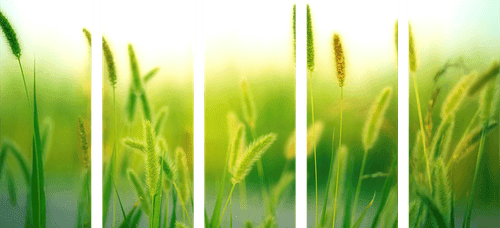 QUADRO IN 5 PARTI STELI D'ERBA IN VERDE - QUADRI DI NATURA E PAESAGGIO - QUADRI