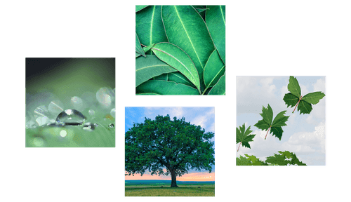 CANVAS PRINT SET NATURE FULL OF GREENERY - SET OF PICTURES - PICTURES