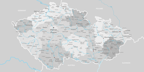 OBRAZ NA KORKU ŠEDÁ MAPA ČESKA S KONTRASTEM - OBRAZY NA KORKU - OBRAZY