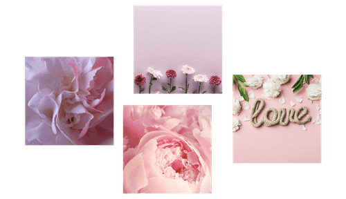 CANVAS PRINT SET FLOWERS IN A SOFT PINK SHADE - SET OF PICTURES - PICTURES