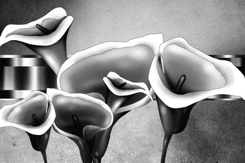 CANVAS PRINT ELEGANT CALLA FLOWERS IN BLACK AND WHITE - BLACK AND WHITE PICTURES - PICTURES