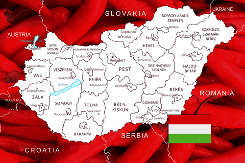 OBRAZ MAPA MAĎARSKA S TYPICKÝM POZADÍM - OBRAZY MAPY - OBRAZY