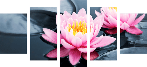 5-PIECE CANVAS PRINT LOTUS FLOWER IN A LAKE - PICTURES FENG SHUI - PICTURES