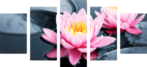 QUADRO IN 5 PARTI FIORI DI LOTO NEL LAGO - QUADRI FENG SHUI - QUADRI