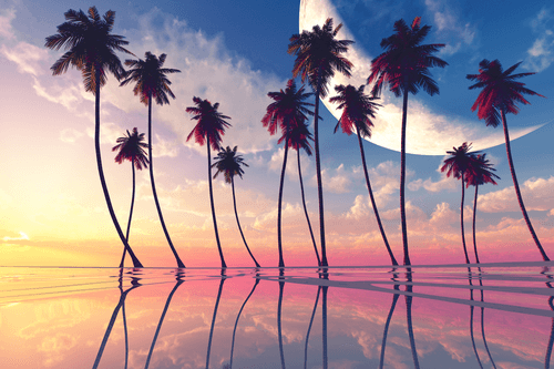 CANVAS PRINT SUNSET OVER TROPICAL PALM TREES - PICTURES OF NATURE AND LANDSCAPE - PICTURES