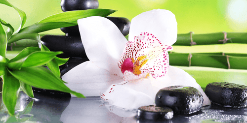 WANDBILD ORCHIDEE IN JAPANISCHER THEMATIK - BILDER MIT FENG SHUI-MOTIVEN - BILDER