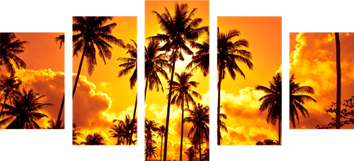 5-PIECE CANVAS PRINT COCONUT TREES ON A BEACH - PICTURES OF NATURE AND LANDSCAPE - PICTURES