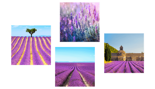 SET DI QUADRI CAMPI DI LAVANDA - COLLEZIONI DI QUADRI - QUADRI