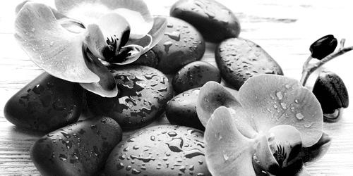 CANVAS PRINT MAGICAL INTERPLAY OF STONES AND ORCHIDS IN BLACK AND WHITE - BLACK AND WHITE PICTURES - PICTURES