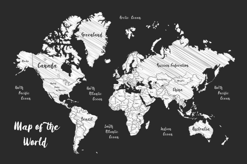 DECORATIVE PINBOARD BLACK AND WHITE UNIQUE WORLD MAP - PICTURES ON CORK - PICTURES