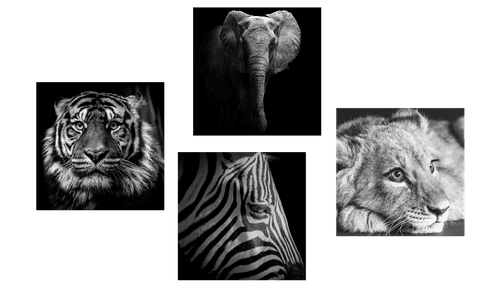 CANVAS PRINT SET WILD ANIMALS IN BLACK AND WHITE - SET OF PICTURES - PICTURES