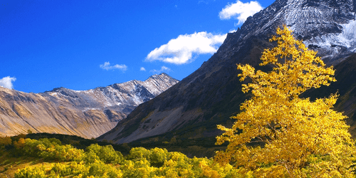 QUADRO BELLISSIMA NATURA IN KAMCHATKA, RUSSIA - QUADRI DI NATURA E PAESAGGIO - QUADRI